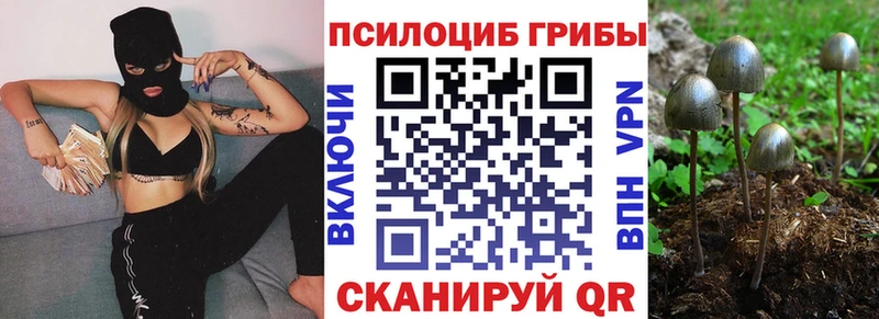 Галлюциногенные грибы Psilocybe  Батайск 